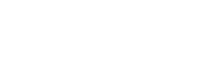 Vision Network